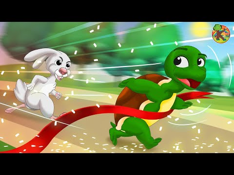 Jangan Remehkan Kura-Kura! 🐢💪😂 | Kartun 🔴 LIVE 24/7 | KONDOSAN