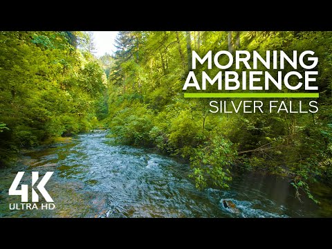 10 HOURS Morning Bird Songs and River Sounds for the Best Start of the Day - Morning River 4K UHD