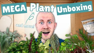MEGA Houseplant Unboxing | Plants, Planters, and MORE! (Gabriella Plants, Sprout Home, Josh's Frogs)