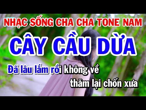 Liên Khúc Nhạc Sống Cha Cha Tone Nam – Cây Cầu Dừa – Những Đêm Lạnh Giá