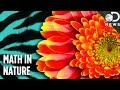 Turing's Theory and Its Implications