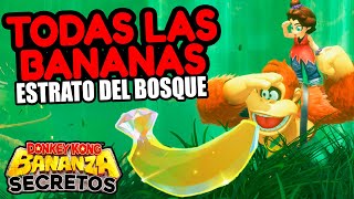 Ubicación de TODAS las BANANAS del Estrato del Bosque - Donkey Kong Bananza Guía 100%