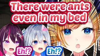 Choco's Apartment Was Massively Infested With Ants ft. Kanata & AZKi 【