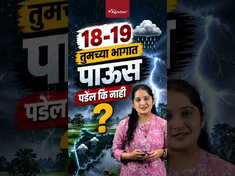 | Maharashtra Weather <strong>Update</strong> | Rain Forecast | #shorts