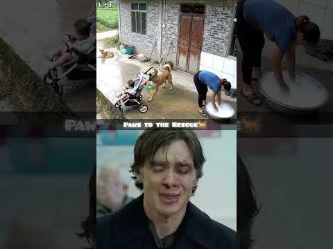 Paws to the Rescue 🫡🐕 #dog #dogshorts #shortvideo #shorts
