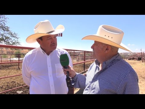 Invitación a la subasta de Angus San Martín