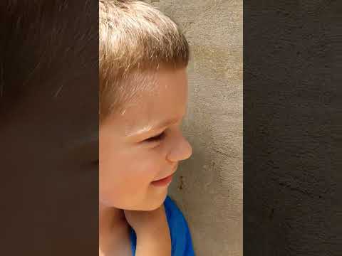 Муравей против жука #блогер #blogger #shorts