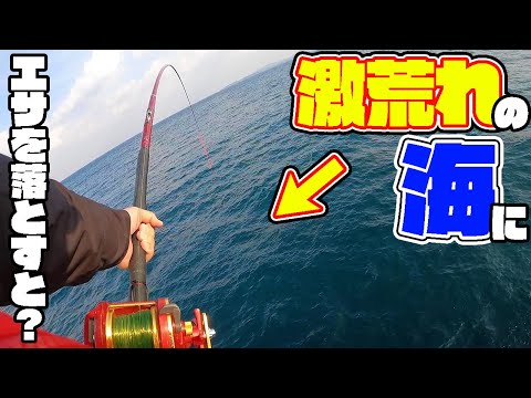 【離島生活#35】荒れた海でもエサを撒けば魚は寄ってくる！？