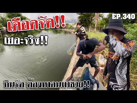 🎣🐠WeareAnglerEP:340“โคตรเดือด!!ปลาขึ้นเต็มน้ำกินจัดมากต้องหา