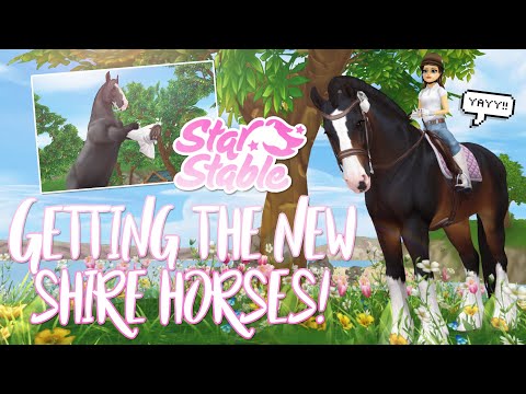 Buying the NEW shires, NEW bridles & magical horses! | Star Stable Updates