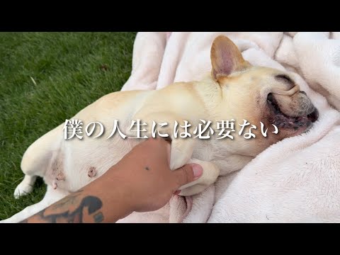 こんなものは僕の人生に必要ありませんでした