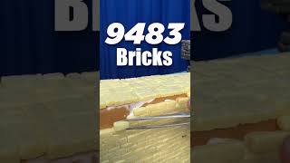 How many bricks does a mini castle need? #diy #miniature #crafts