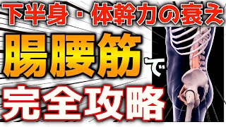 【スクワット100回より簡単】下半身の筋力・体幹力が3分で倍増する腸腰筋完全攻略法！『ぽっこりお腹/足痩せ｜内臓脂肪/中性脂肪 減少｜反り腰・腰痛・股関節痛・膝痛・坐骨神経痛・脊柱管狭窄症』