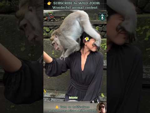 18 AMAZING Animal Clips You MUST See! ⚡ WILD ZOOM #animals #animalshorts #animalclips