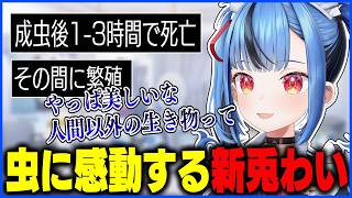 人間アンチ新兎わい、カゲロウの生き様に感動する