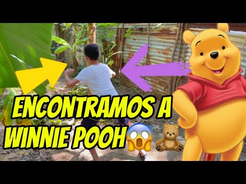 Encontramos a winnie pooh😱😰interesante asombrosos 😱😰