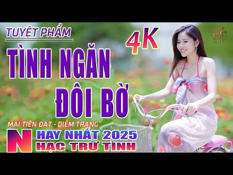 Tình Ngăn Đôi Bờ, Đường Tím Bằng Lăng🛑 Nhạc Trữ Tình Hay Nhất 2025 - Lk Bolero Nhạc Vàng Xưa Bất Hủ