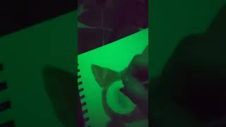 did this picture in green light how will it turn out #cat