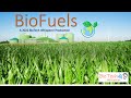 Biofuels: Concepts and Impacts