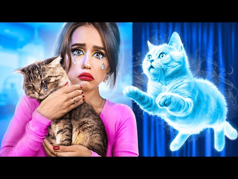 Я спасла бездомного котенка! Лайфхаки для владельцев животных!