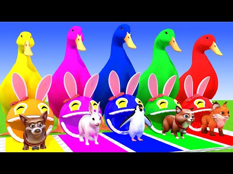 5 Giant Duck Cartoon,Cow,Elephant,Tiger,Lion,Dinosaur,Paint Wild Animals Crossing Fountain Animation