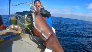 Hombre Atrapó Calamar Gigante, Mira la Pelea dos brazos vs 8 brazos y dos Tentáculos (squid)