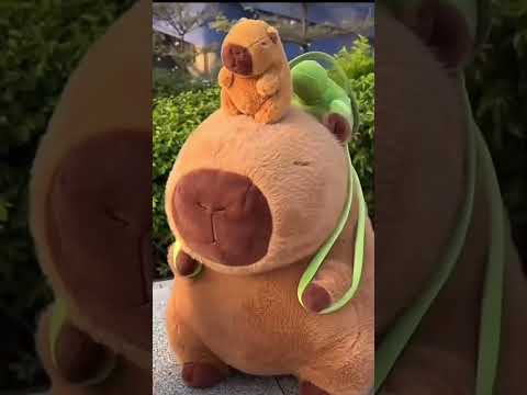 #iboop #iBOOP #capybara #peluches #plushtoys #plush #plushies #regalos #gifts #capibara #dolls