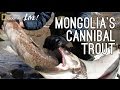 Tyman and Longfin Eel Conservation