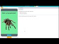 Understanding App Functionality and Inputs