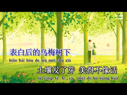 [KARAOKE] Mứt ô mai 烏梅子醬 – Lý Vinh Hạo || The Dark Plum Sauce Ronghao Li (Instrumental) || 烏梅子醬李榮浩