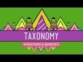 Exploring the Fundamentals of Taxonomy and Classification