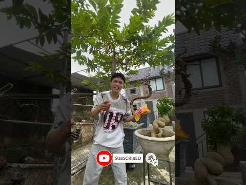 Anh phú và đồng bọn - Đình Phú
