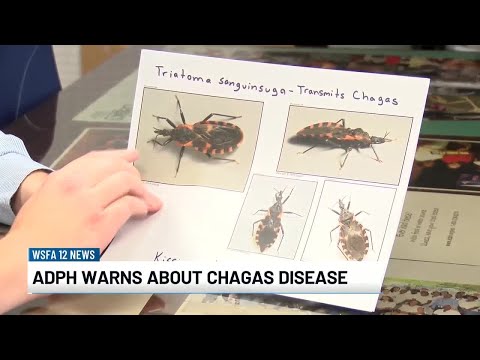 YouTube video thumbnail: Alabama Dept. of Public Health Warns About Chagas Disease