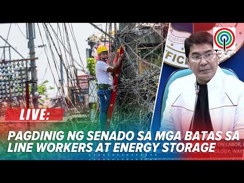 LIVE: Senate committee on energy holds hearing on bills on line workers & energy storage systems