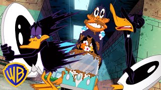 Lava la Parade Float e Piangi | Looney Tunes in Italiano 🇮🇹 | @WBKidsItaliano
