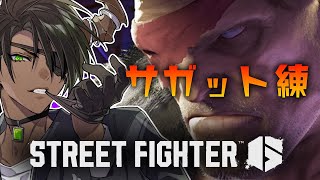 【ストリートファイター6】サガット練習【荒咬オウガ /ホロスターズ】