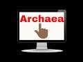 Archaea and Their Environments