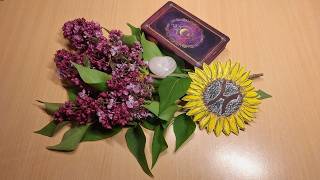 🌻💖 Ryby ♓🌼🌷🌹 květen 2026 🌞💧⚡🌈☔🍀💖🌻