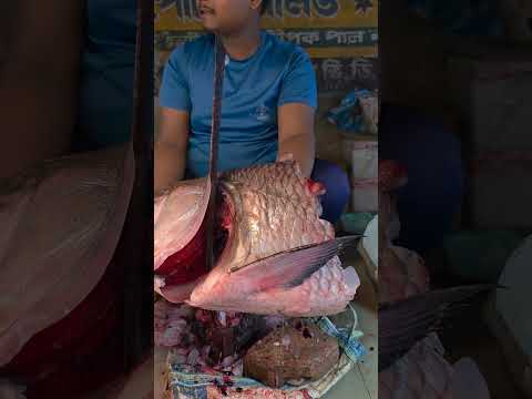 20 কেজি ওজনের কাতলা মাছ কাটিয়া 1 কেজি নিলাম #yutubeshorts #fishcutting #fishing #fish #myblog
