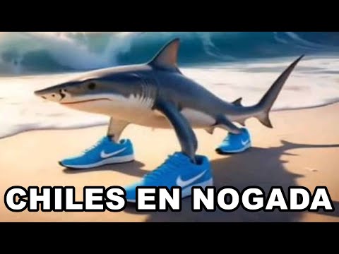 Shitposting Compilation V43