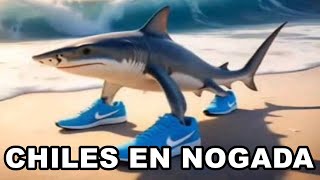 Shitposting Compilation V43