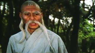 La Terrible Vengeance du Maître de Shaolin (1983)