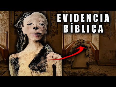 La Tumba del Faraón del Éxodo Revela Evidencia Bíblica