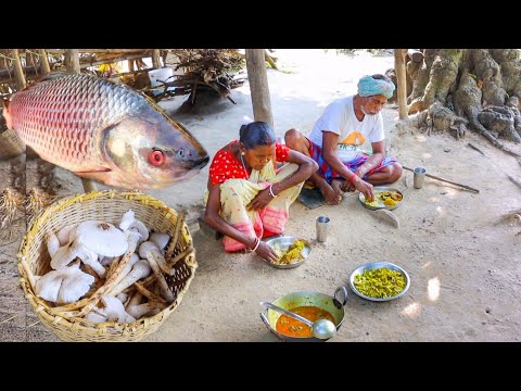 ROHU FISH CURRY with BRINJAL and wild mashroom fry cooking and eating by our grandmaa