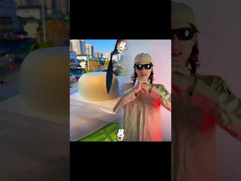 Welches meiner Haustiere war das??? | How2Shirli