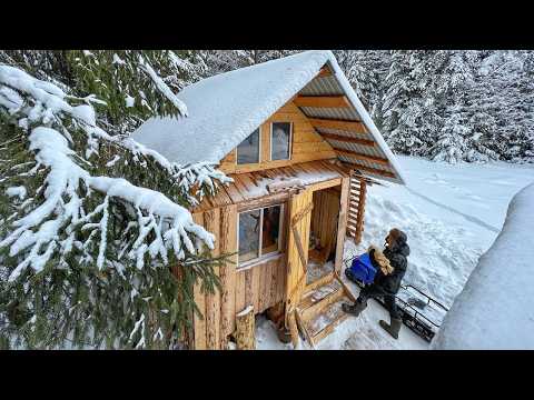 Off Grid Log Cabin: Alone with my Dog in an Snowstorm