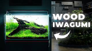 Thumbnail for the video "Can a Wood Iwagumi Aquascape Exist?" from Green Aqua