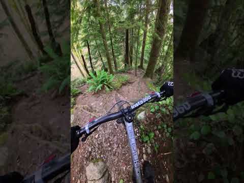This is why you need good brakes