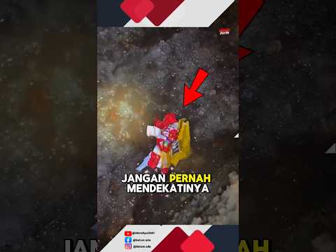 Jangan pernah mendekati sampah seperti ini😱