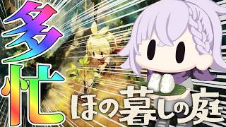 【ほの暮しの庭】うおおおお畑‼️採掘‼️金策‼️建築‼️【1年目秋】